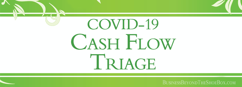 Read more about the article COVID-19 Cash Flow Triage