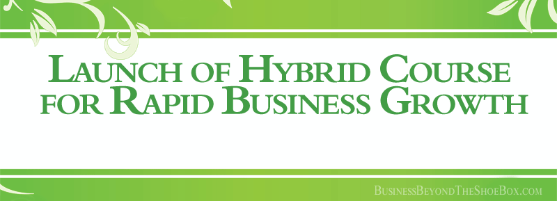 Read more about the article Launch of The 20 Minute CFO Hybrid Course for Rapid Business Growth