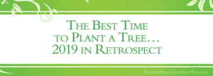 Read more about the article The Best Time to Plant a Tree… 2019 in Retrospect from a Business Consultant