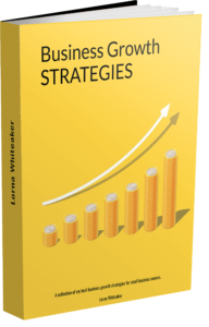 business growth strategies ebook
